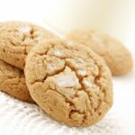 Quick & Easy No-Bake Cookie Recipes for Busy Sweet Cravings