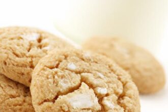 Quick & Easy No-Bake Cookie Recipes for Busy Sweet Cravings