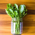 Crunchy Greens: How to Keep Lettuce Crisp in a Jar