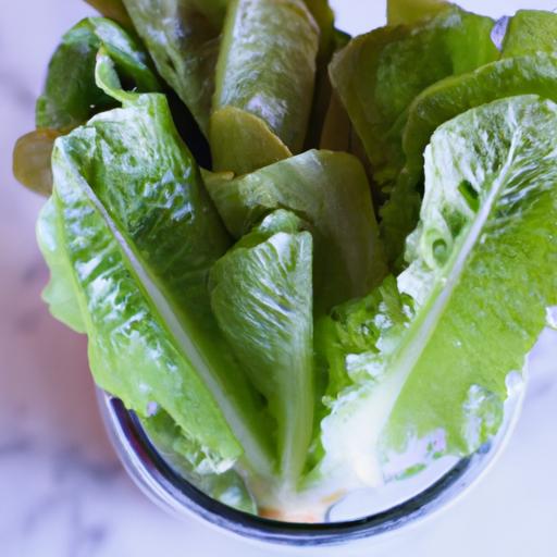 Crunchy Greens: How to Keep Lettuce Crisp in a Jar
